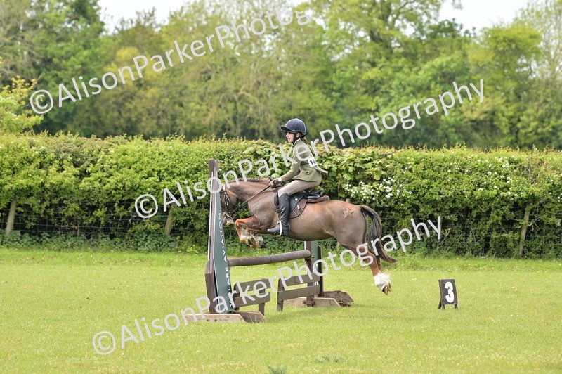 20260426-2383 - Class 21 - Working Hunter Ponies