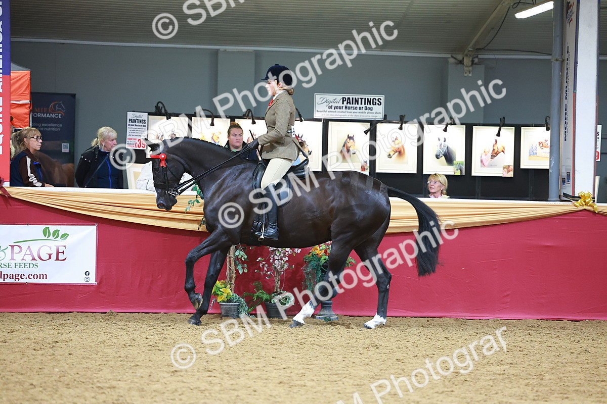 SBM_06294 - Class 12R - Ridden Pre-Vet