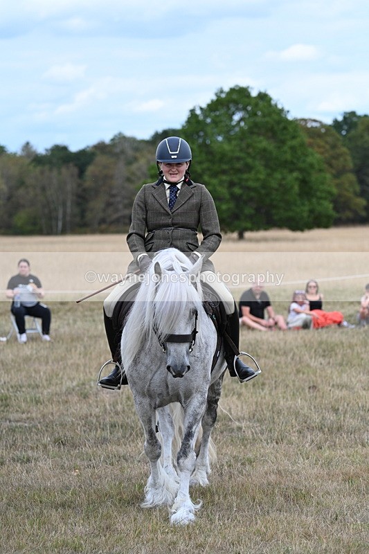 WJ7_5158 - Class 12 Ridden Cob