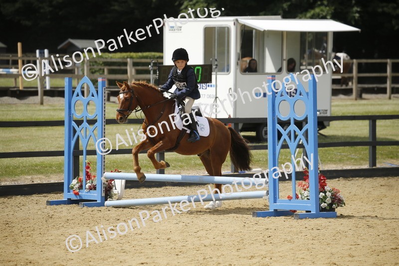 20250622-3992 - 50cm