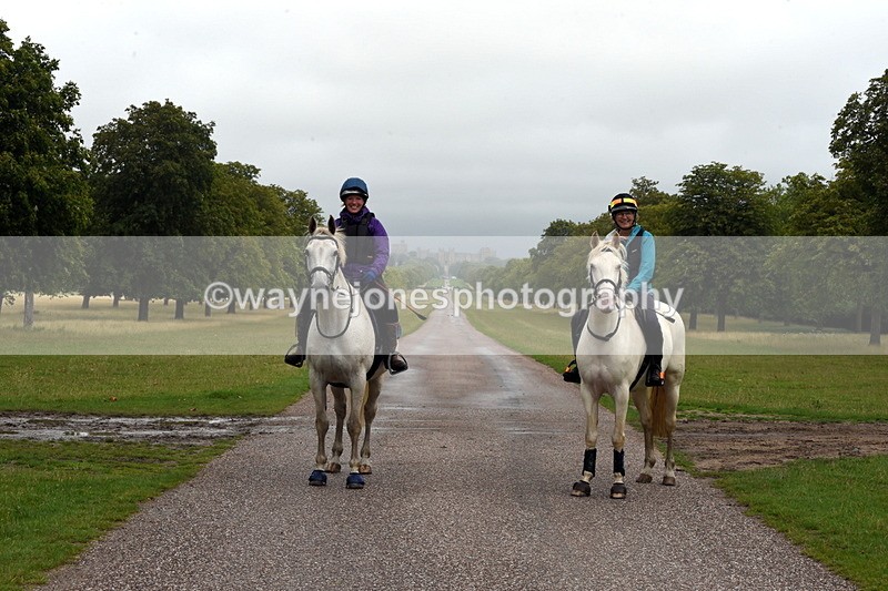 TT3_8311 - Time at Crossing 10:16 to 11:38