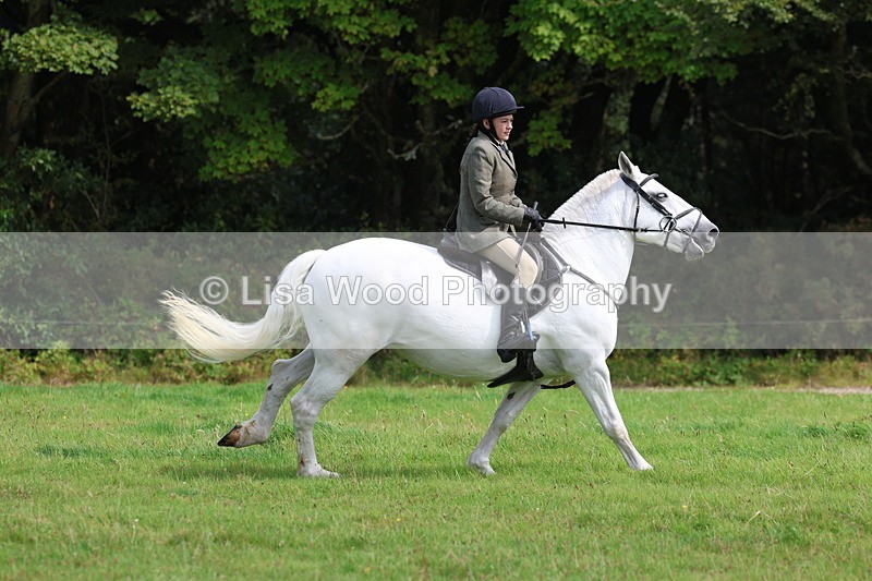 3E7A5871 - Class 26 and 27: 70cm Working Hunter