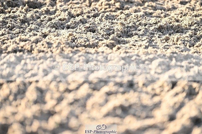 231105-084404-00455 - Cls 3 Prelim 12 Start to 9.50 break