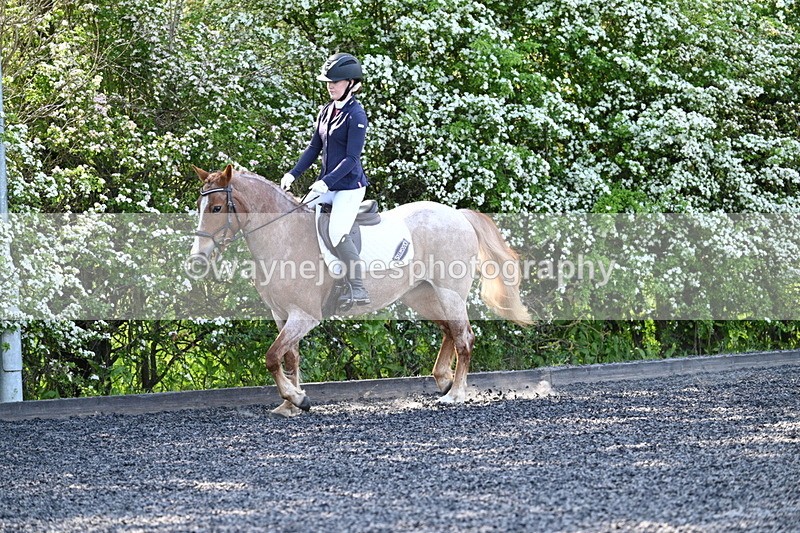 WJ7_7708 - Time 09:36 to 10:00