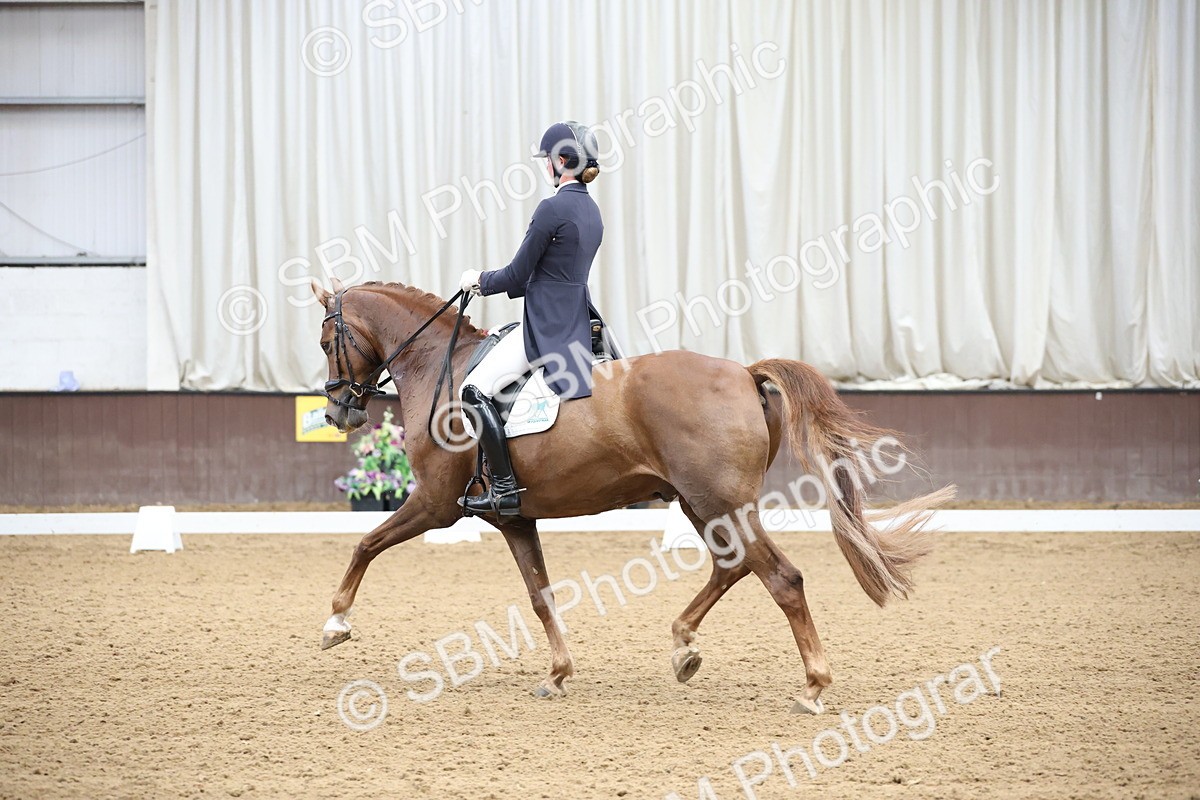 SBM_004377 - Class 9 - FEI Inter 1 Gold - 15.55-16.43