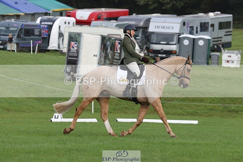 231019-110819-02552 - 612-CORRIEVIEW.MERLIN.MAGIC-Jane.Rogers-DR