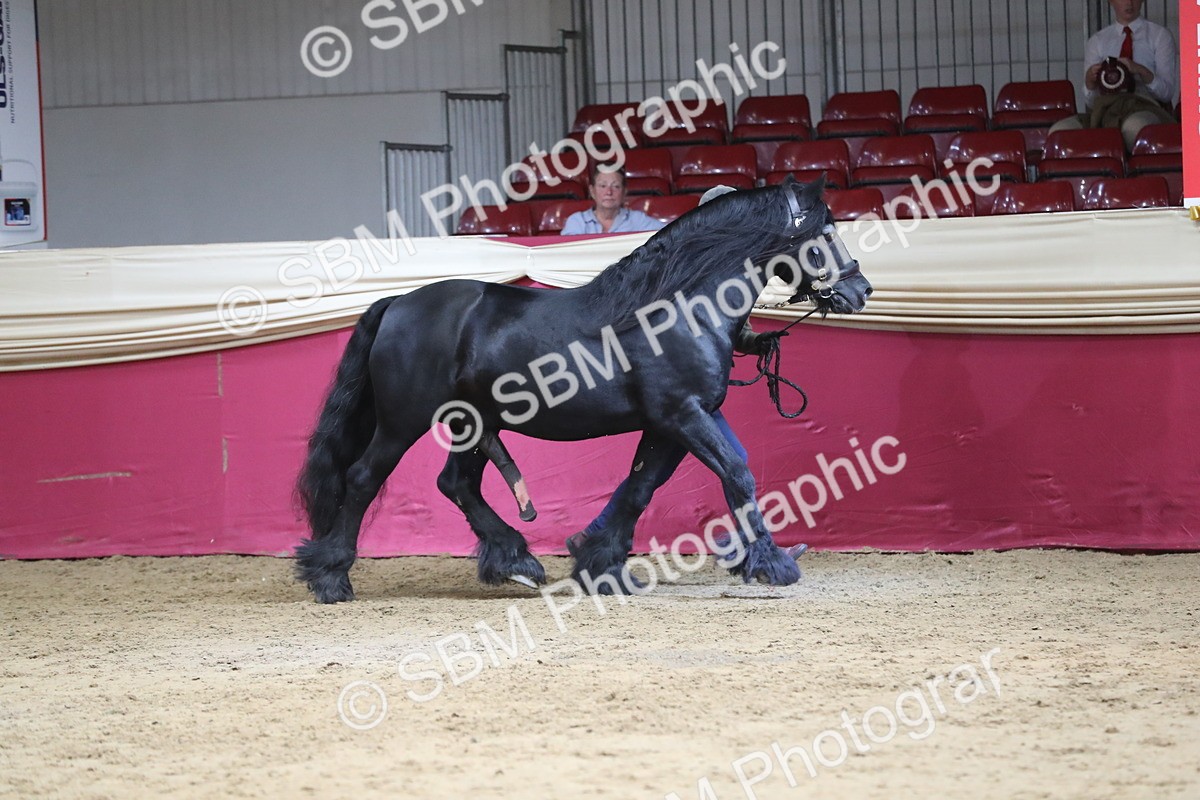 SBM_06524 - Regional IH Champ