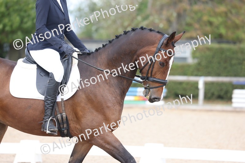 20260912-0661 - Class 5 - Novice 1