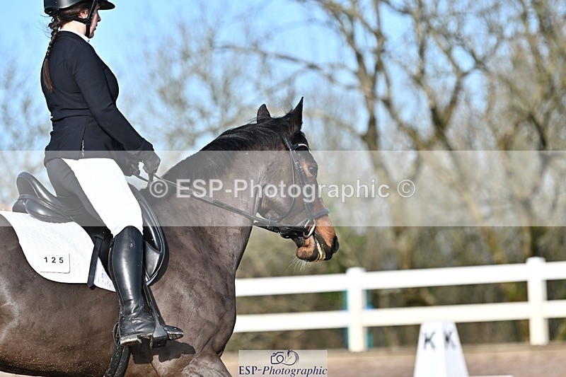 250125-104904-00244 - Dressage - CT Class 4 BE95 (80cm)