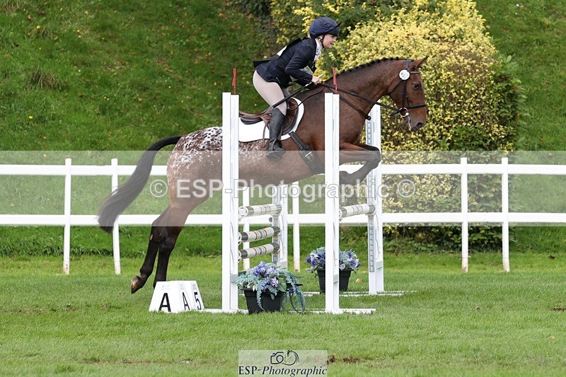 231022-133250-27757 - 482-ODDSPOT.VITAL.ELEMENT-Danielle.Davies-TrotUp+SJ