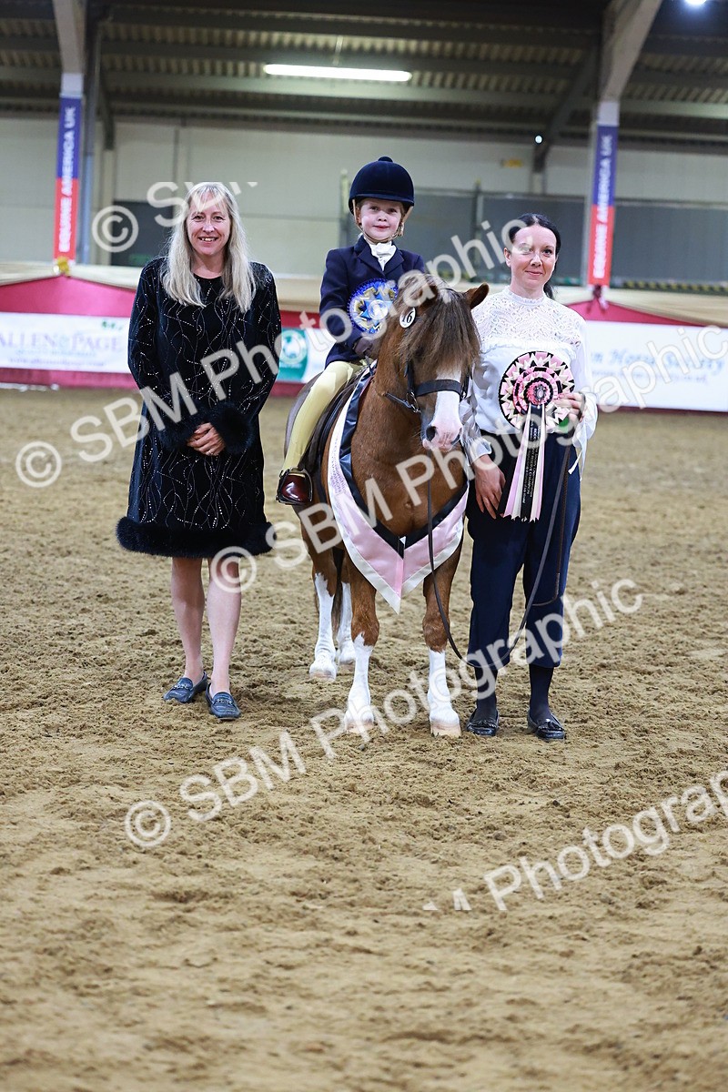 SBM_14677 - Class I - Ridden Pony Champ