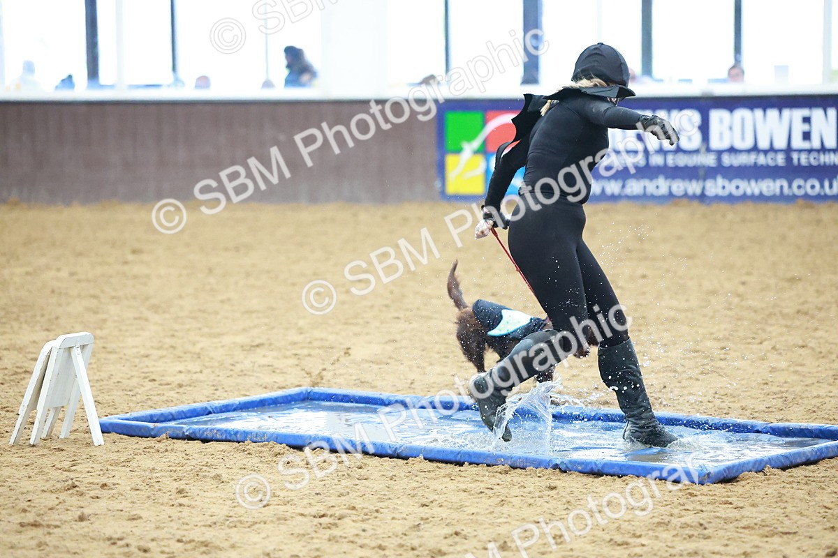 SBM_001737 - Class 3 - Horse & Hound (60cm)