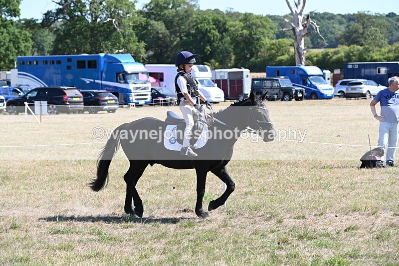 WJ6_8377 - Class 37a Best Loan Pony Ridden