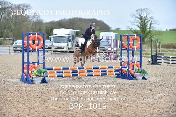 BPP_1019 - CLASS 1 Club/ Unaffiliated 60cms Open