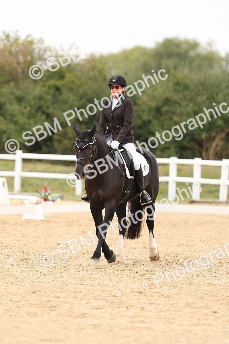 SBM_00951 - Class 8 - Novice 27 Champs