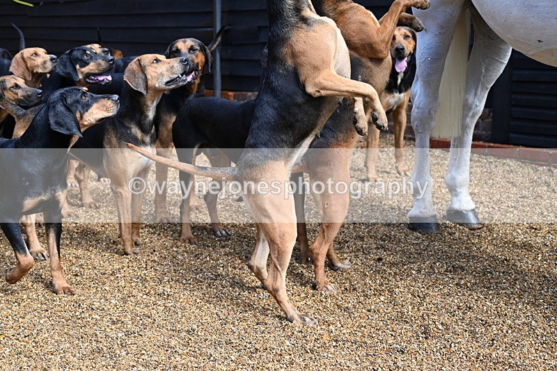 WJ7_7046 - Berks & Bucks at Blandy’s Farm 31-08-25