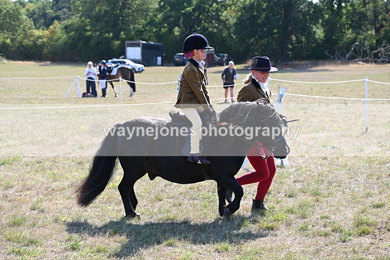 WJ6_7448 - Class 34 Judges Choice