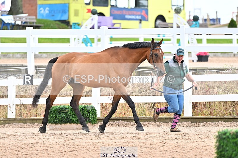 240718A-105326-01998 - Trot Up 2pm to 3pm - This folder is not in time order