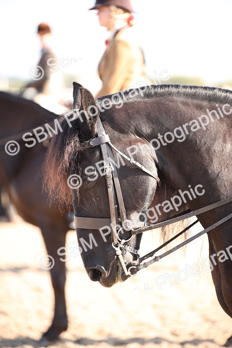 SBM_00715 - Class 14 Ridden M&M Wildcard