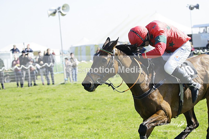 PtP 190322 306 - Wilton Hunt PtP Milborne St Andrew 19/03/22