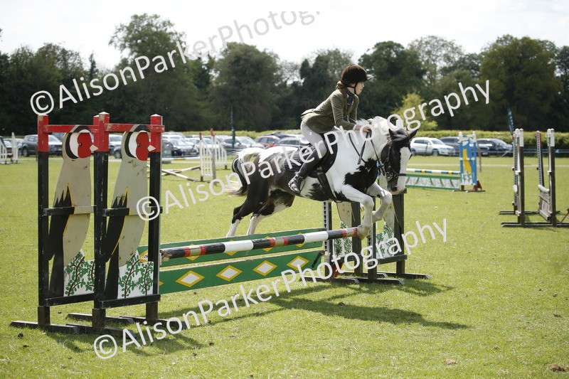 20250427-3755 - Class 14 - Absolute Novice 70cm
