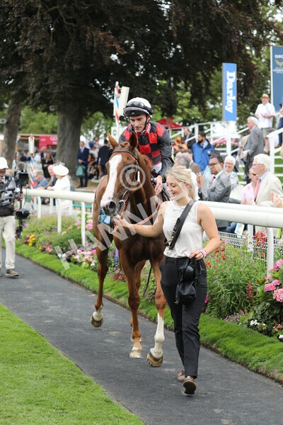 yr18082022r3-46 - Race 3 3.00pm Clipper Logistics Stakes