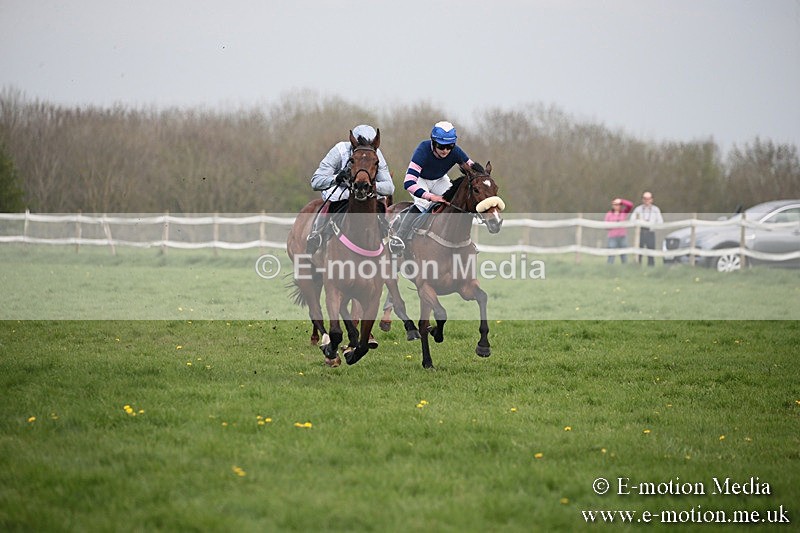 PtP 210418 359 - South & West Wilts Point-to-Point Larkhill 21/04/18