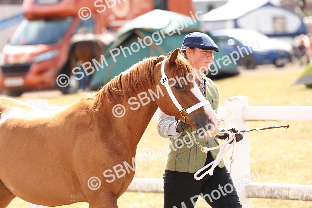 SBM_15022 - Class 209 - IH Veteran Pony