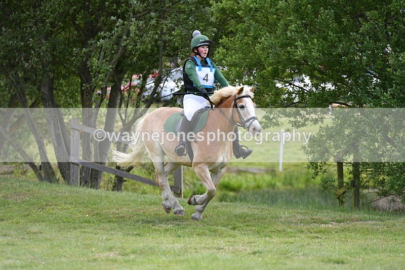 WJ5_2334 - Class 2 40cm