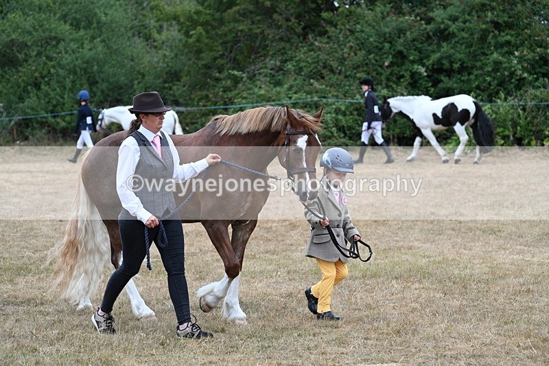 WJ7_8054 - Class 4 Prettiest Mare up to 14.2hh