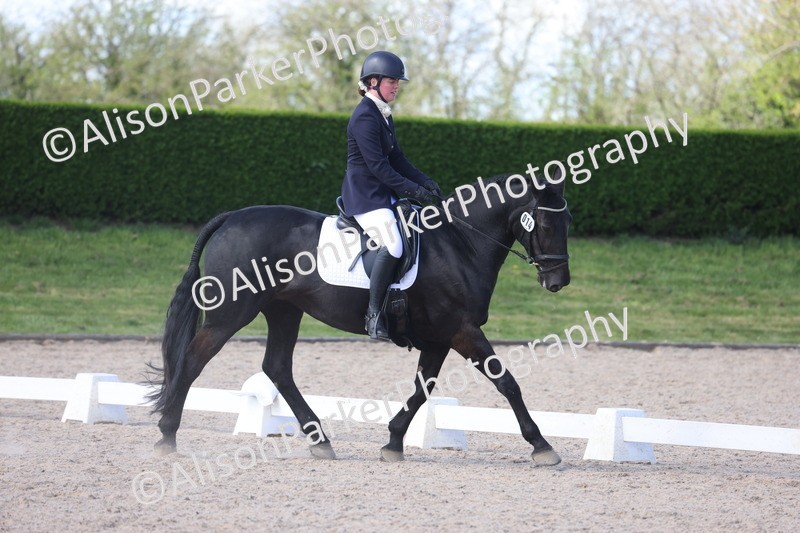 20260405-0519 - Class 6 - Elementary 6