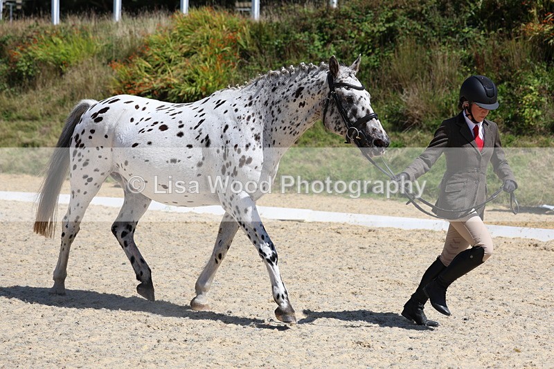 3E7A9438 - Class 29: Veteran In Hand