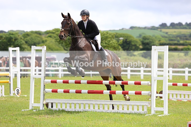 3E7A7231 - Class 13: Senior British Novice/90cm open