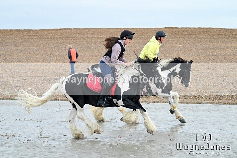 WJ7_9439 - Hayling Island Beach Shoot 22-09-24