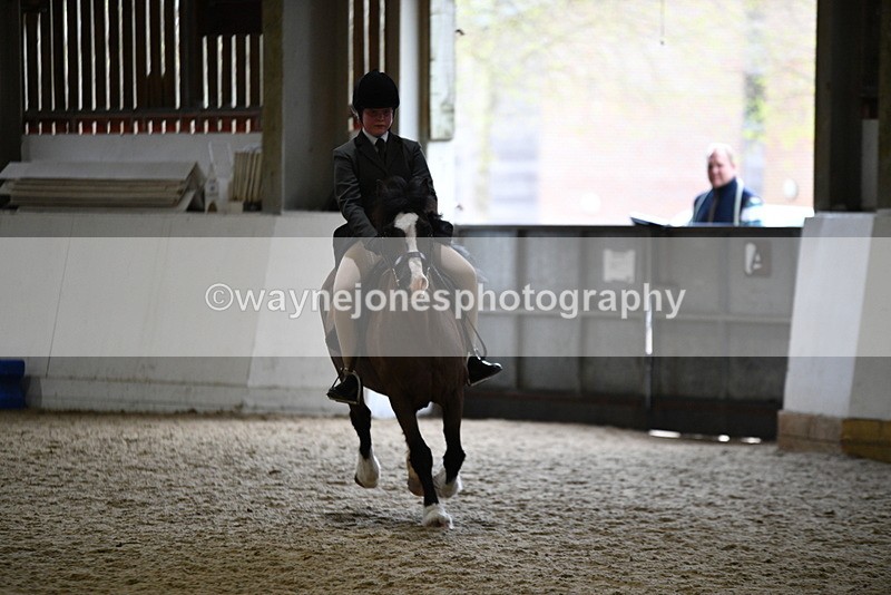 WJ5_7227 - Class 11 Ridden PC - RC Pony