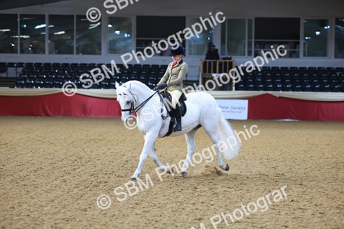 SBM_07671 - Class 101 - HOYS Veteran Qualifier - Ridden Diamond