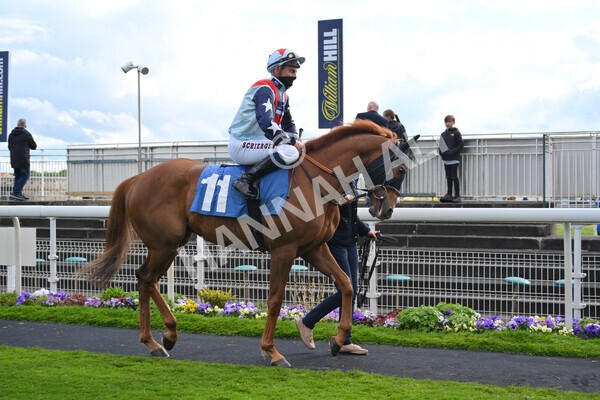 yr22052021r7-26 - Race 7 5.25pm Hudson Quarter York Palace Capital Stakes - Gentleman Amateur Riders Race