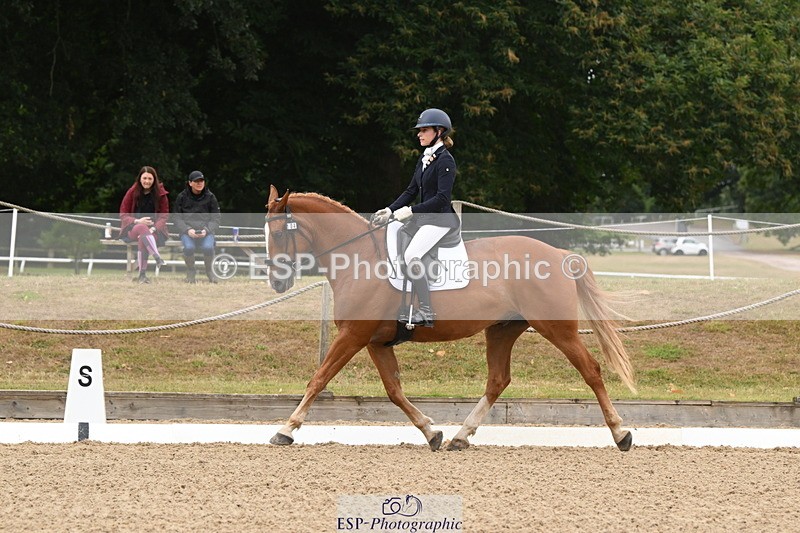 250720A-103153-09578 - 104-Molly.Northmore-Pennmoor.Liberation