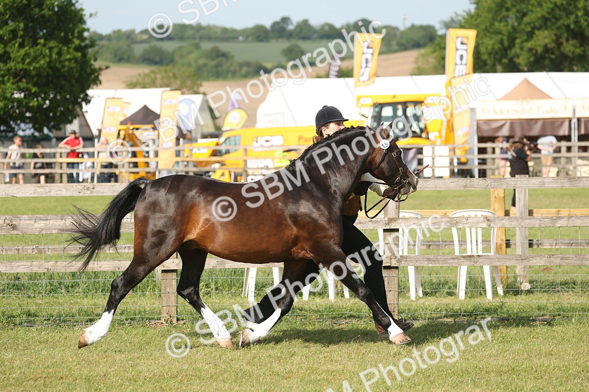 SBM_10347 - Class 33-38 - SSADL RIHS Qualifiers