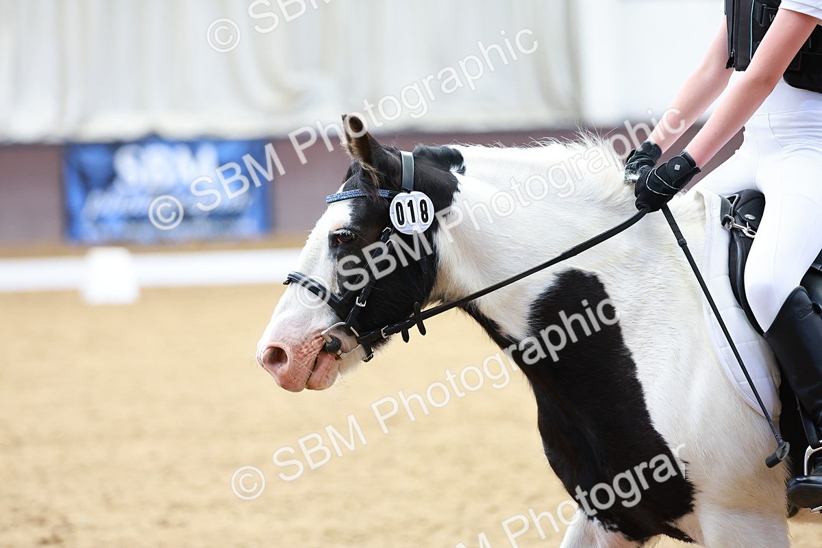 SBM_000157 - Intro Test 2