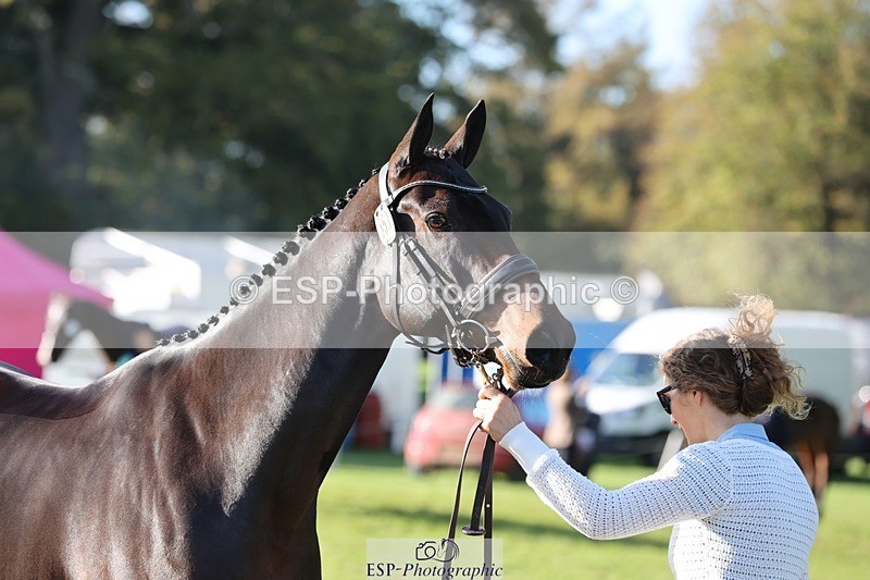 241027-095622-15590 - 553-Hanna.Bertorelli-BWTH.CLASSIC.CUT