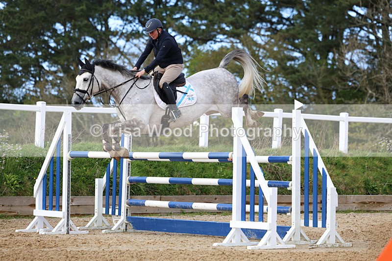 3E7A2272 - Class 8: Senior Foxhunter/1.20 open