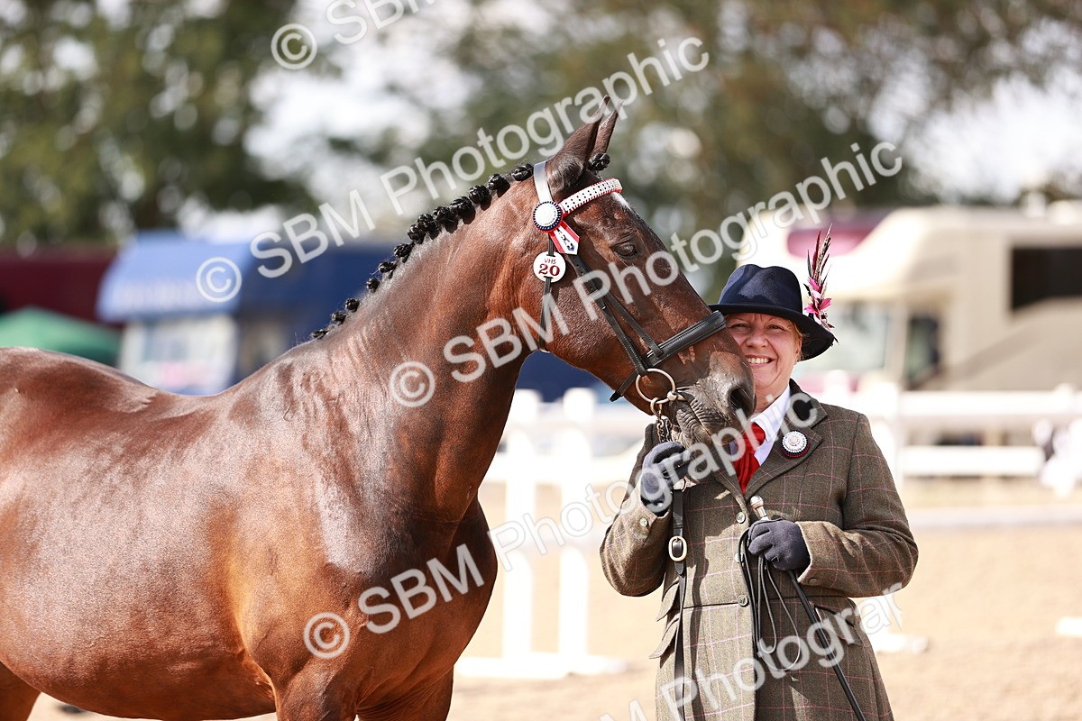 SBM_14205 - Class 407 - IH Hack Riding Horse