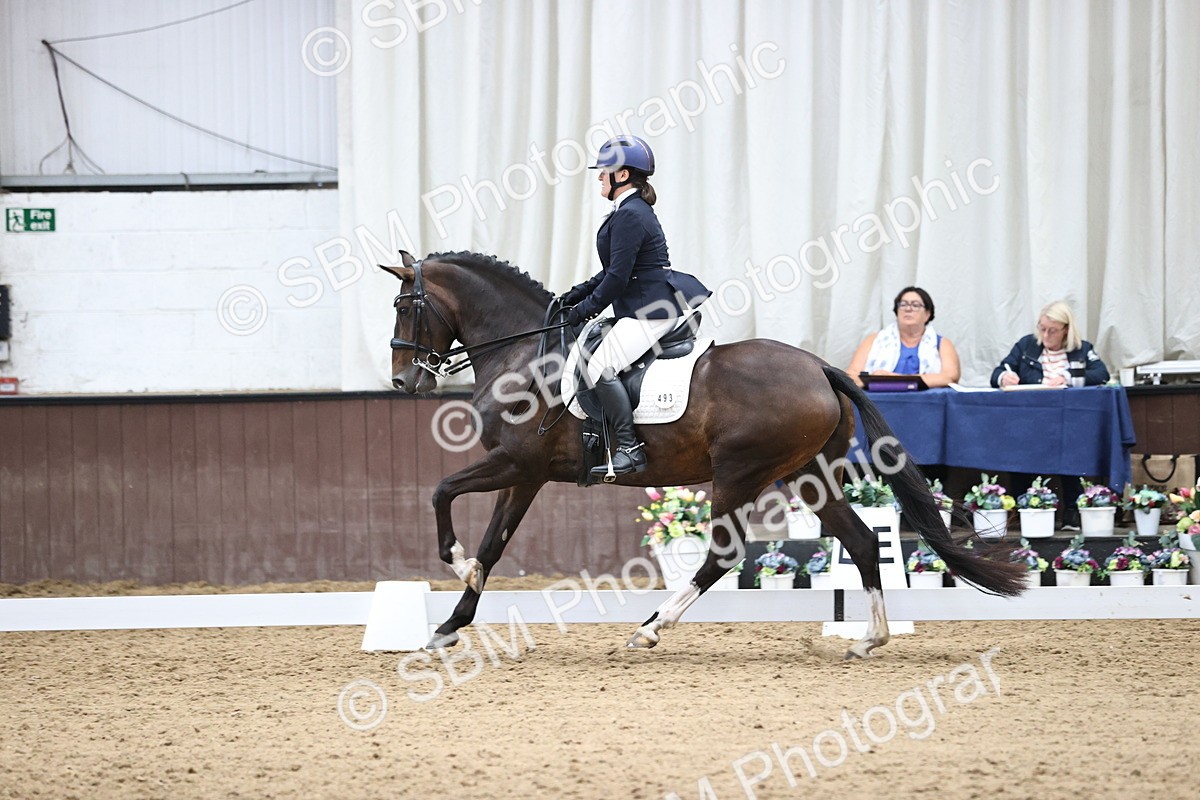 SBM_019536 - Class 21 - Medium 73 - 10.20-11.32