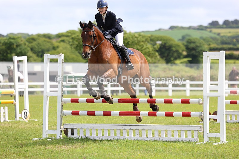 3E7A7526 - Class 13: Senior British Novice/90cm open