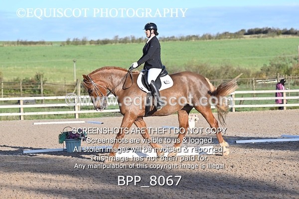 BPP_8067 - LONG ARENA