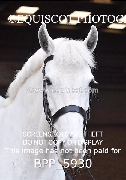 BPP_5930 - Erin Hancock ×2