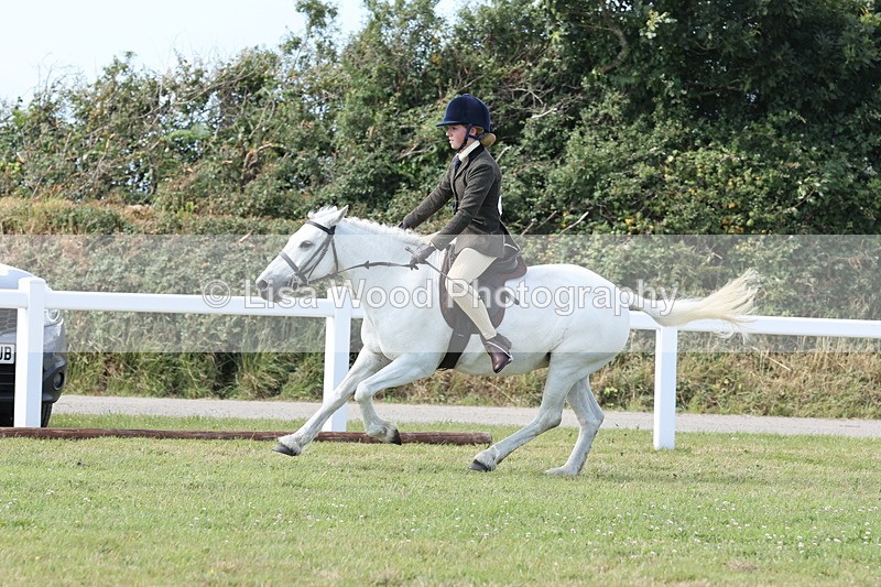 JPP_2392 - Class 19: Working Hunter 60cm