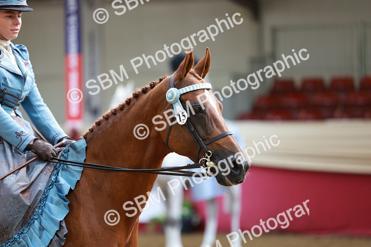 SBM_13748 - Class 106 - Ridden Costume -Astride Adult (15-19)