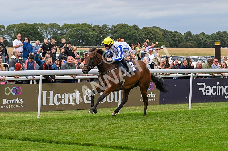 150824-Race 3-Go On Rosie-7872 - Race 3